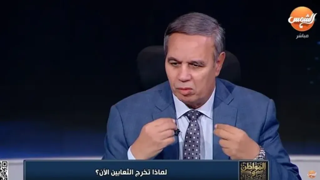 أستاذ العقيدة بجامعة الأزهر: ممارسات الحواة أكل عيش قائم على النصب والتآمر