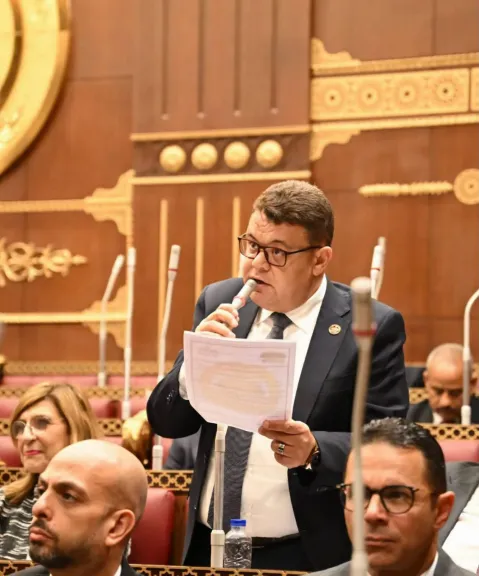 عضو بالشيوخ: منتخبنا صنع التاريخ.. وتكريم الرئيس السيسي تتويج للإنجاز والجهد