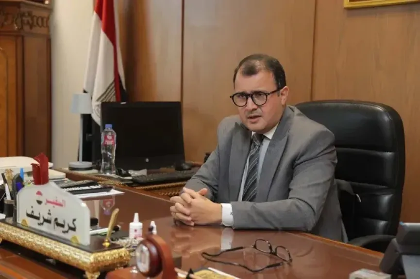 مساعد وزير الخارجية: العلاقات المصرية الإفريقية تشهد زخما كبيرا.. والتعاون مع دول حوض النيل أولوية