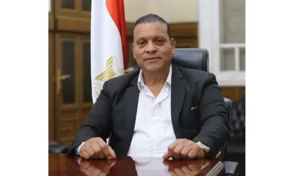 الفضالي: كلمة مصر أمام الأمم المتحدة رسالة للعالم بدورها في إحلال السلام بالمنطقة