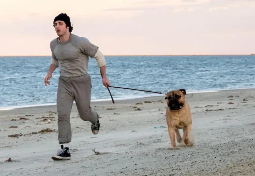 طرح برومو فيلم «I Play Rocky».. يستعرض رحلة سيلفستر ستالون من ممثل مغمور إلى أسطورة سينمائية