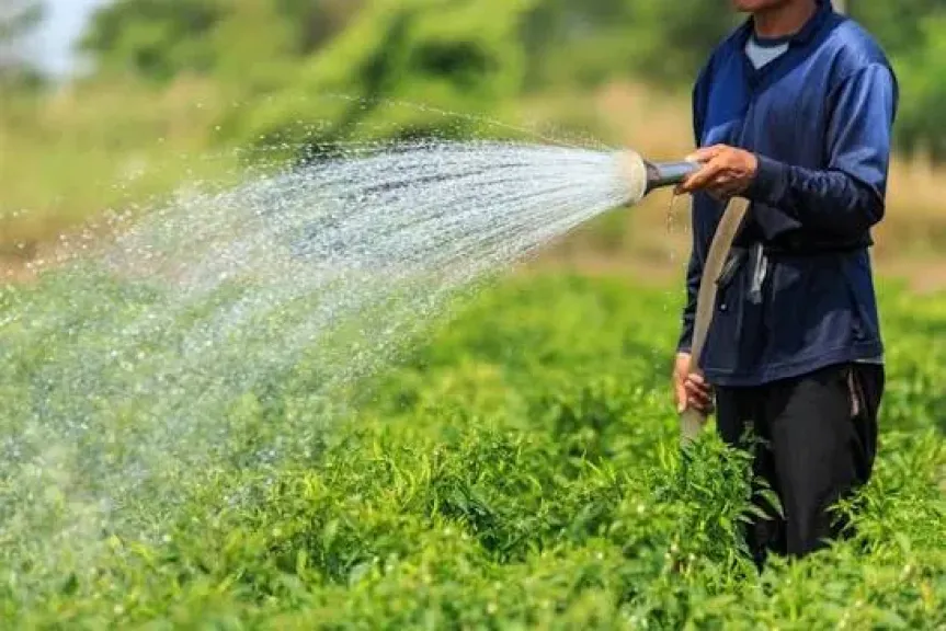 الري: شكاوى المزارعين من نقص المياه تكاد تكون منعدمة.. وتخطينا مرحلة الفقر إلى الشُح المائي