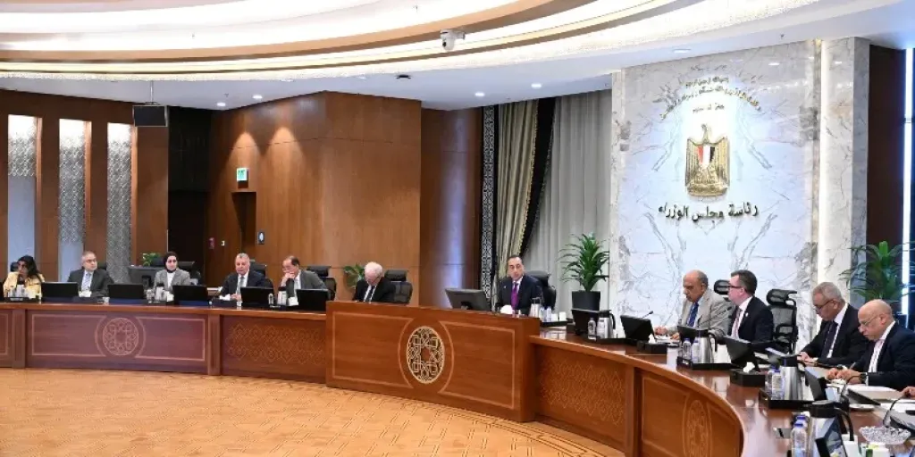 رئيس الوزراء يستعرض الآلية المقترحة لضمان تمويل مشروعات البنية التحتية في مصر