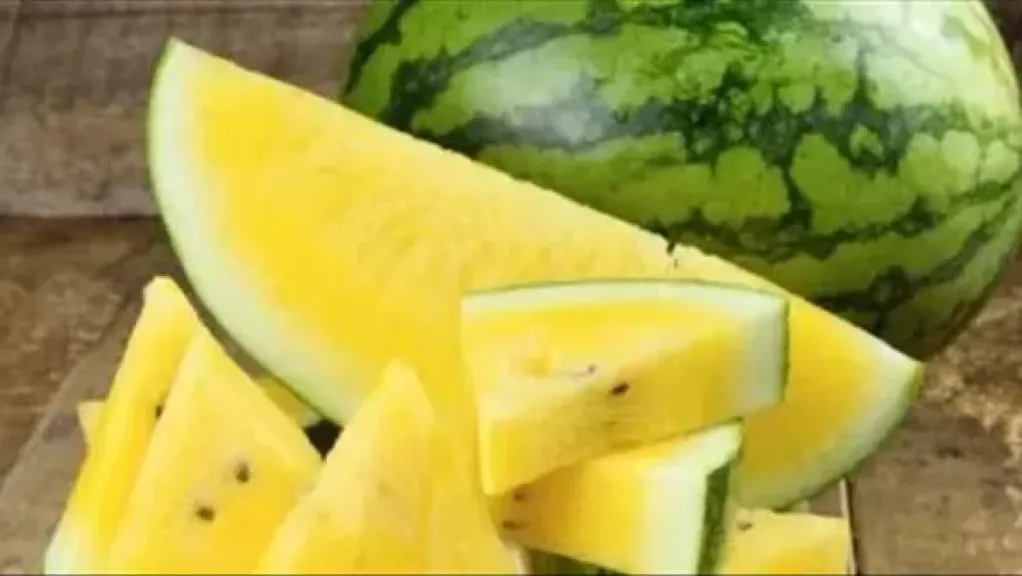 طبيبة تحذر: البطيخ الأصفر قد يسبب أضرارًا لفئات من المرضى