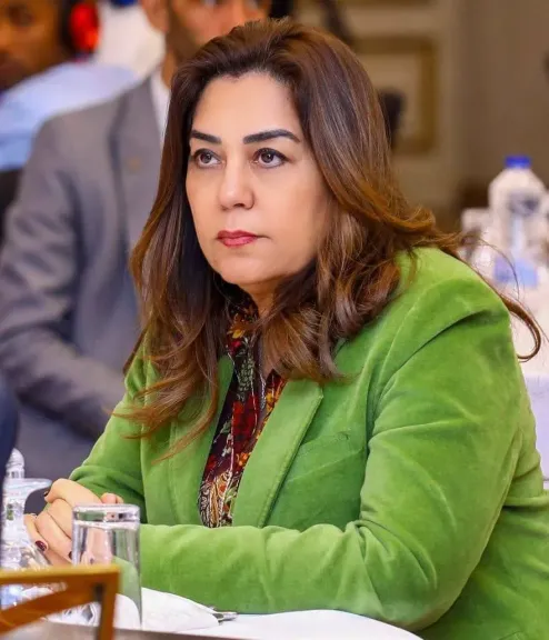 وزيرة التنمية المحلية تستعرض تقريرا حول جهود الموجة الـ29 لإزالة التعديات