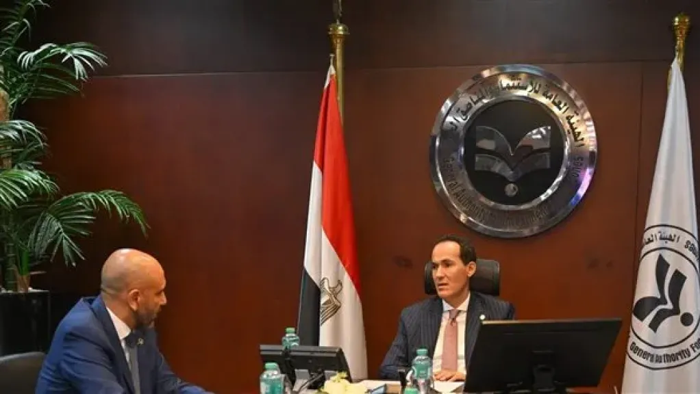 هيئة الاستثمار تبحث مع «موانئ دبي العالمية» فرص استثمارية جديدة في مصر