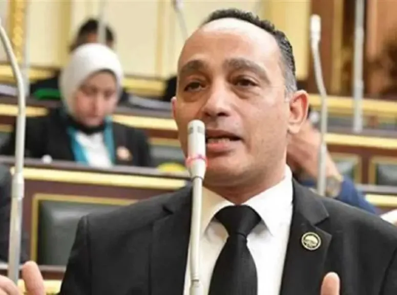 «حكومة ما عندهاش حلول غير جيب المواطن!».. البياضي يطالب بتجميد زيادة الكهرباء