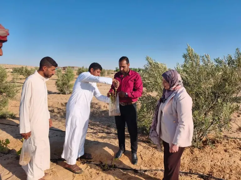 الزراعة تستعرض الجهود والأنشطة البحثية والتنموية لمركز بحوث الصحراء خلال يوليو 2026