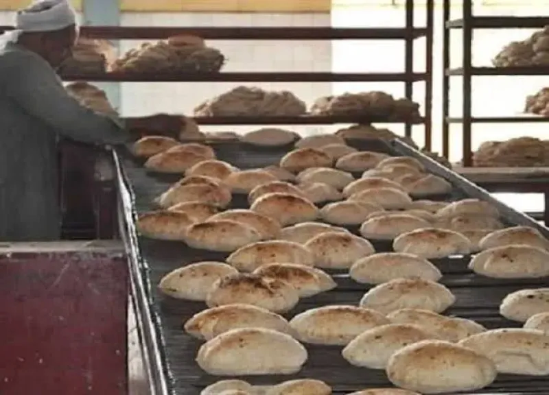 يصل إلى 5 جنيهات.. أسعار رغيف العيش السياحي الجديدة
