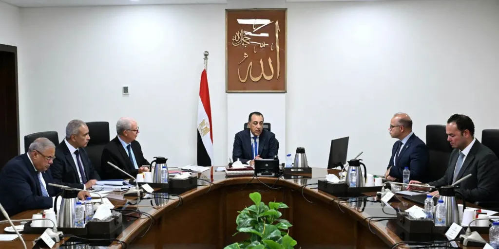 رئيس الوزراء يناقش مقترحات نقل ملكية عدد من الشركات القابضة وشركاتها التابعة