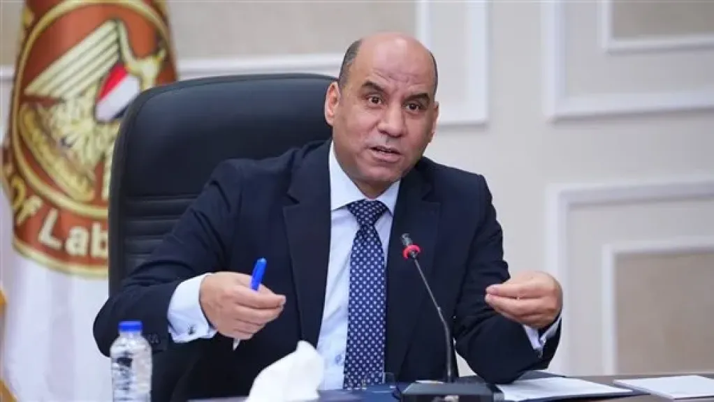 وزير العمل: الحكومة والقطاع الخاص يفتحان بابًا جديدًا لتشغيل 3032 شابًا