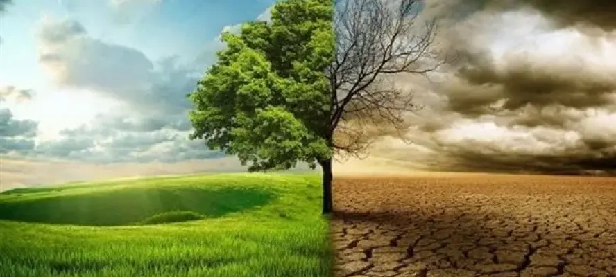 أستاذ تغير المناخ يحذر من التداعيات المتزايدة لارتفاع درجات الحرارة
