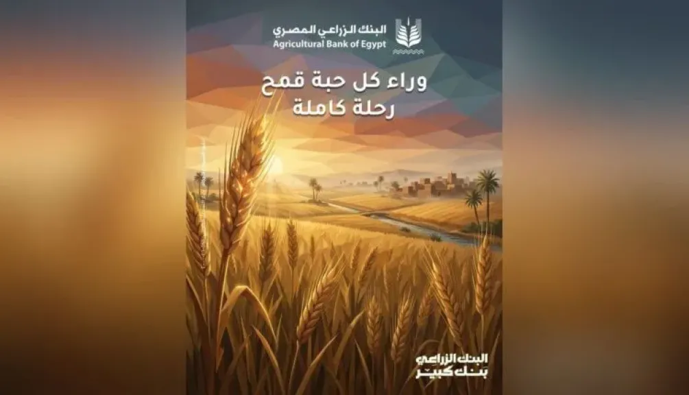 البنك الزراعي المصري يستقبل 720 ألف طن قمح بقيمة 12 مليار جنيه