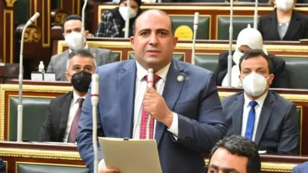 منصة تمويل مصرية أفريقية.. تحرك برلماني لفتح أبواب الاستثمار أمام المشروعات الصغيرة