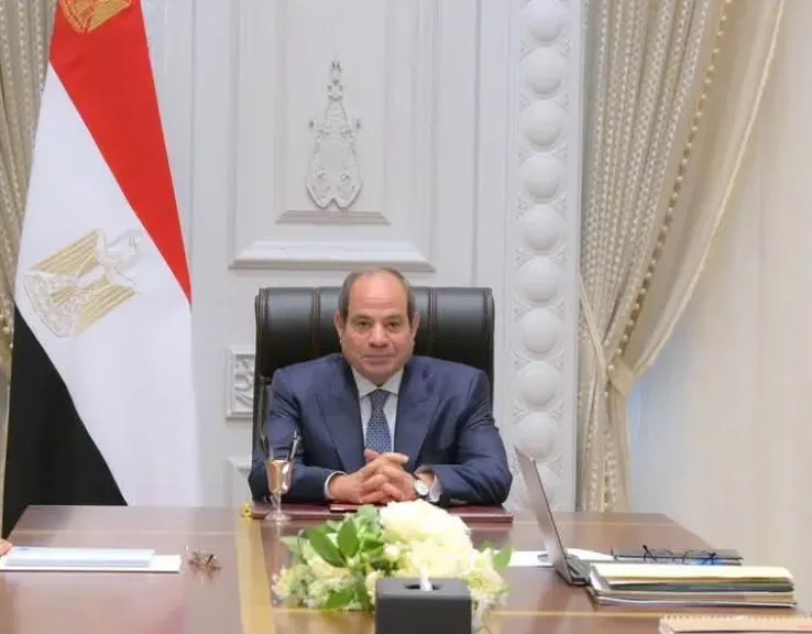 السيسي يؤكد ضرورة اتخاذ كلّ الإجراءات التي تكفل سرعة تنفيذ الأحكام في دعاوى النفقات