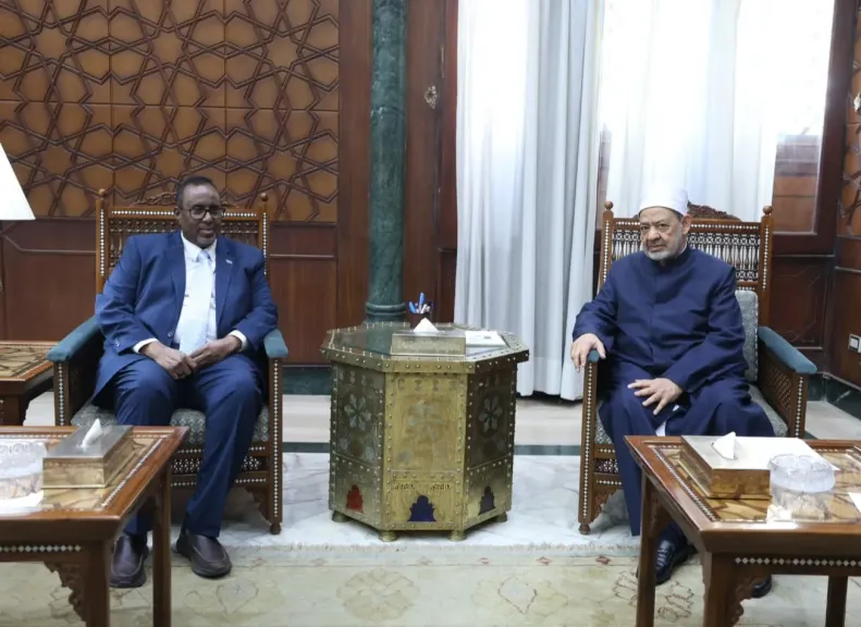 شيخ الأزهر يبحث مع سفير الصومال تعزيز التعاون العلمي والدعوي