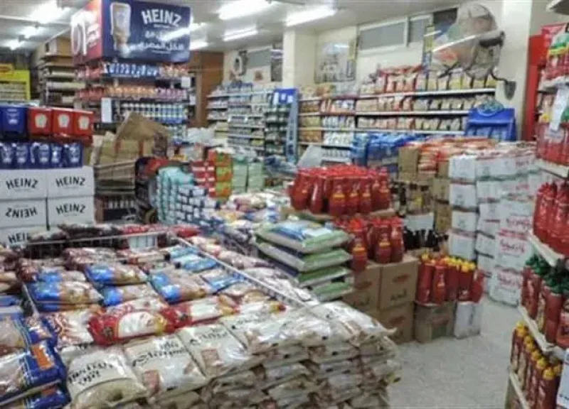 مصر تتحرك لتصبح مركزًا إقليميًا لتجارة الحبوب والسلع الغذائية.. تفاصيل