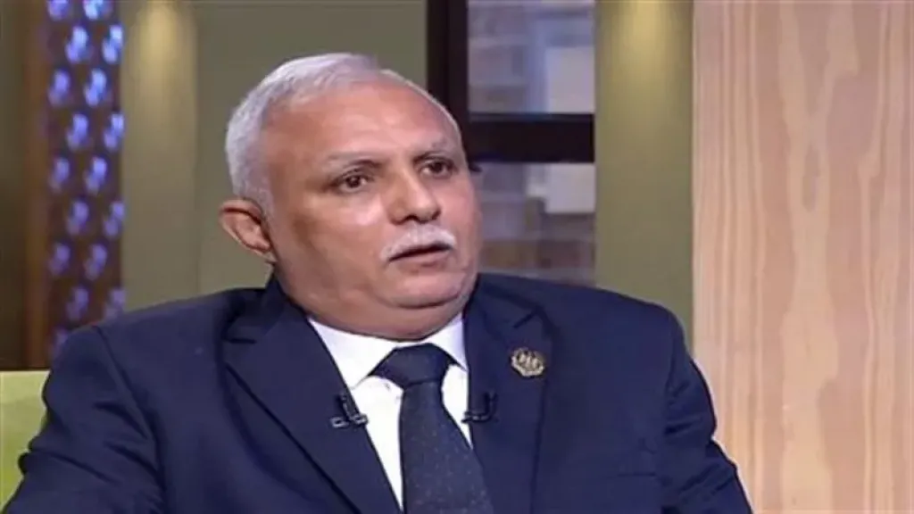 هشام الدجوي: مشروع «كاري أون» يحقق المعادلة الصعبة بإرضاء المواطن والتاجر والحكومة