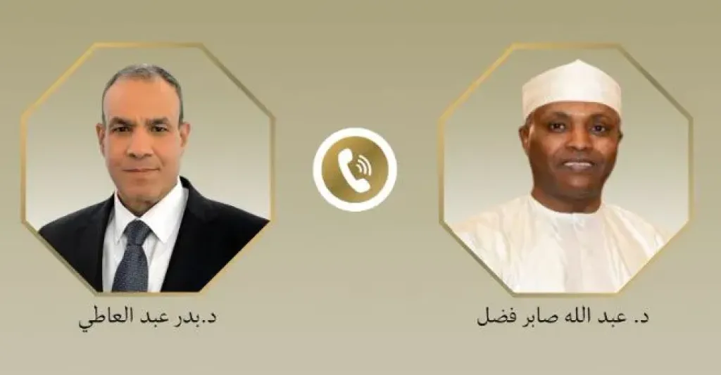عبد العاطي لنظيره التشادي: مصر ترفض إنشاء كيانات موازية في السودان