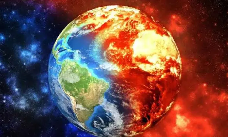 الوزراء: 97.2 مليار دولار حجم سوق الزراعة المستدامة عالميًا بحلول 2034