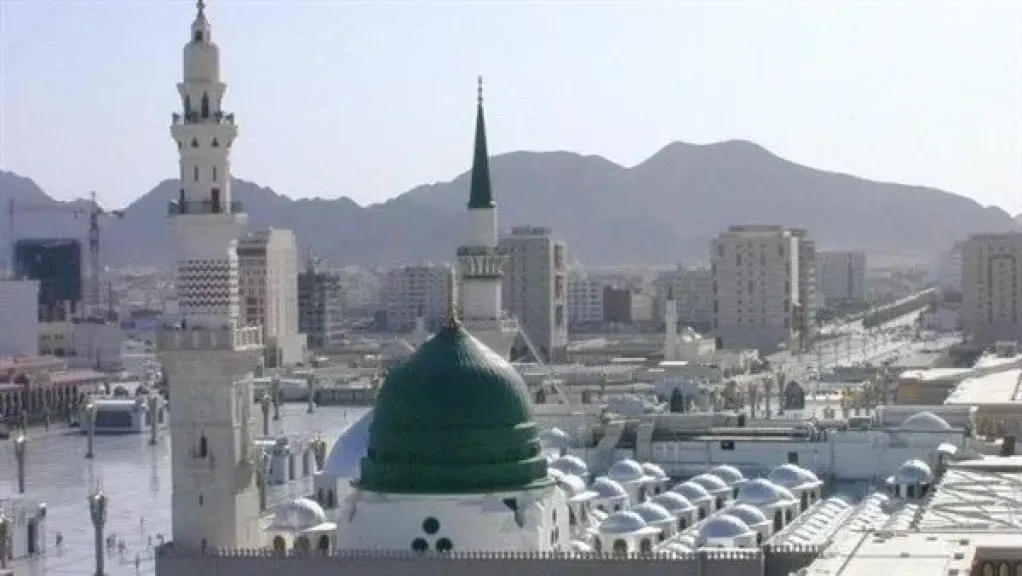 كيف نعبر عن حبنا لرسول الله؟.. أمين الفتوى يجيب