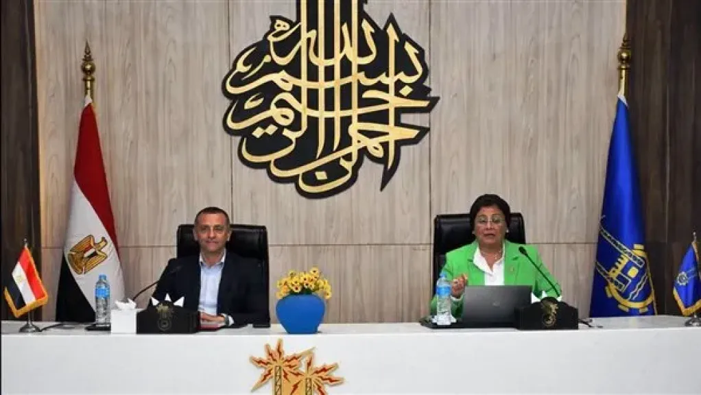 نائب وزير الصحة ومحافظ أسوان يبحثان سبل دعم الملف السكاني وتعزيز جهود تنمية الأسرة
