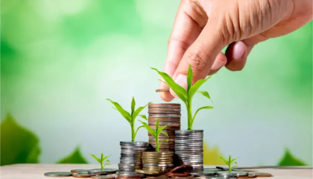 أفضل شهادات ادخار في البنوك بعد قرار البنك المركزي بتثبيت أسعار الفائدة