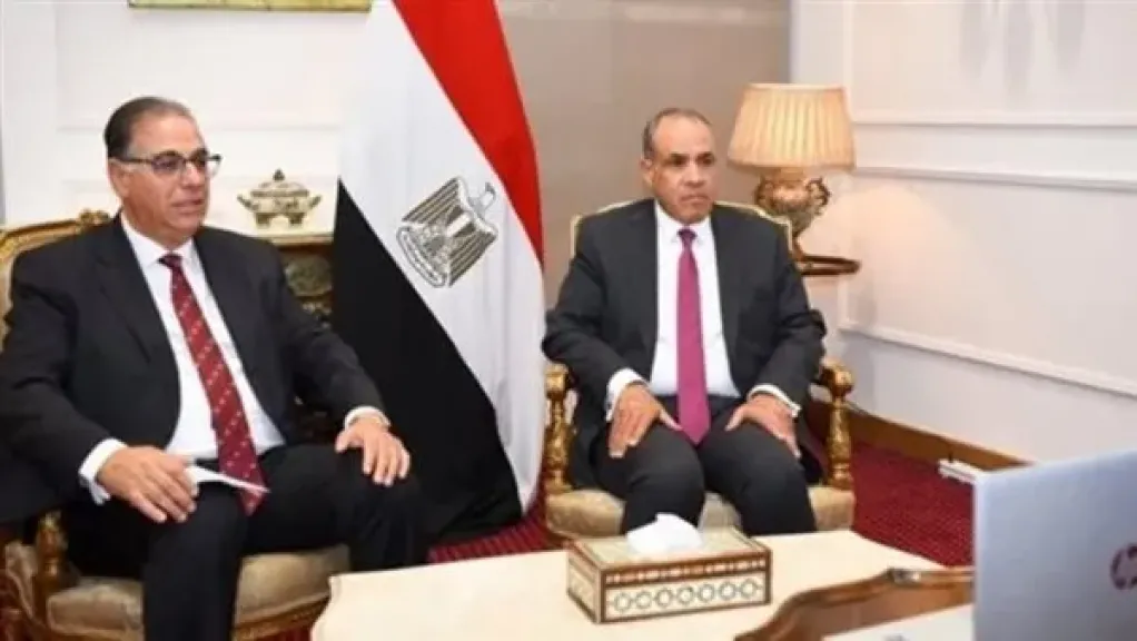 الخارجية تناقش آليات «صندوق الطوارئ» للمصريين بالخارج خلال لقاء موسع
