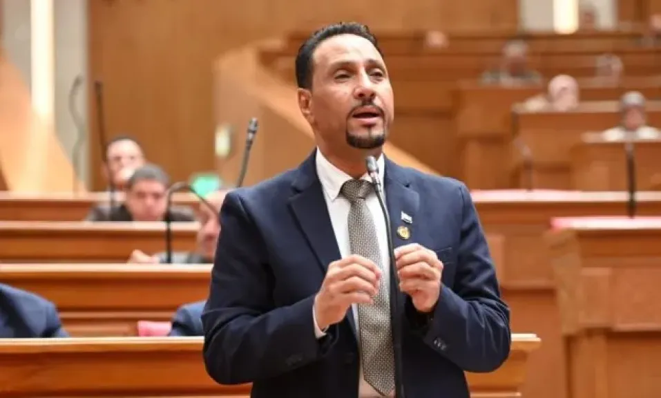 جرجس لاوندي: قمة «القاهرة - بكين» تؤسس لمرحلة جديدة من الشراكة الاستراتيجية