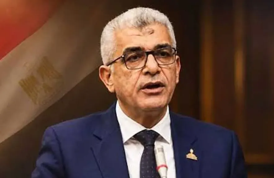 حماة الوطن: القاهرة تعيد رسم خريطة شراكاتها الاستراتيجية وفقًا لمصالحها الوطنية