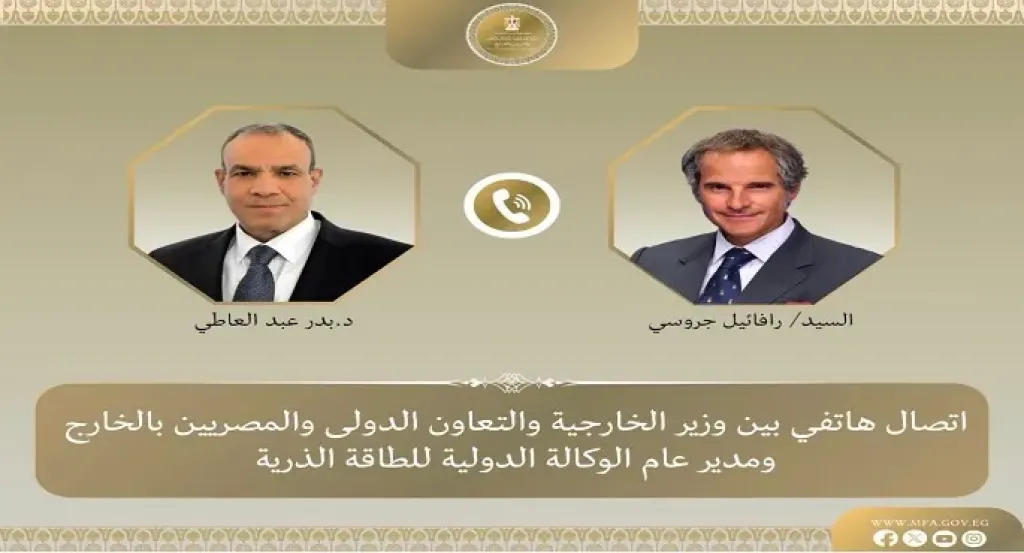 وزير الخارجية يبحث التعاون مع الوكالة الدولية للطاقة الذرية