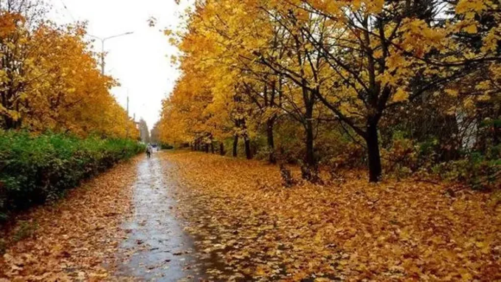موعد انتهاء الصيف وبداية فصل الخريف