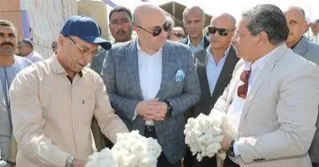 بالتزامن مع عيد الفلاح.. ”الذهب الأبيض” يبدأ رحلة الحصاد من بني سويف