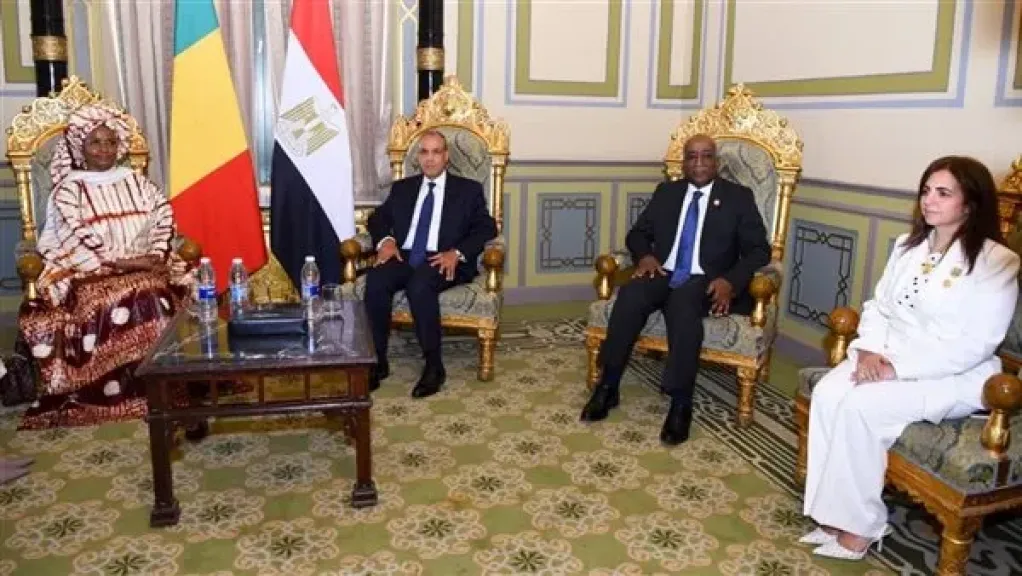 وزير الخارجية يؤكد اعتزاز مصر بالعلاقات التاريخية والأخوية التي تجمعها بمالي