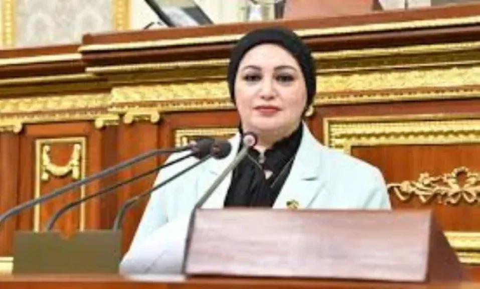 برلمانية تقترح 3 آليات غير تقليدية لإنقاذ الصناعة من نقص العمالة الماهرة