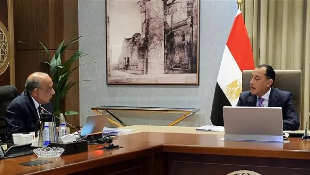 رئيس الوزراء يُتابع المشروعات والخطط الحالية والمستقبلية في قطاع الطاقة الجديدة والمتجددة
