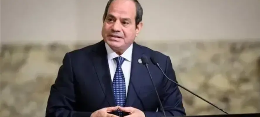الرئيس السيسي يعود إلى أرض الوطن بعد زيارة لجمهورية الهند