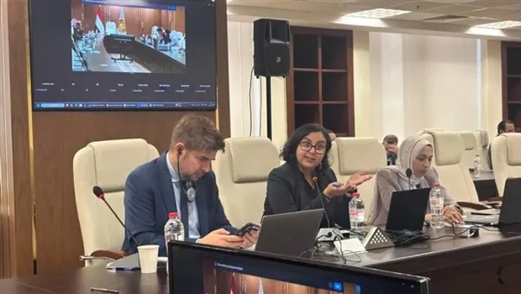 وزارة العمل: مشاورات مع ”العمل الدولية” لاعداد الخطة التنفيذية للاستراتيجية الوطنية للتشغيل