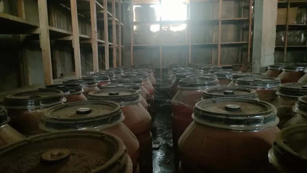 ضبط 22 طن زيتون مخلل غير صالح للاستهلاك الآدمي بالغربية