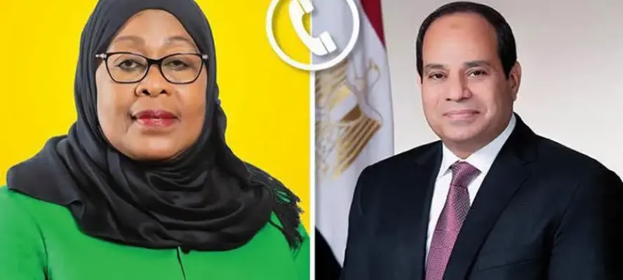 الرئيس السيسي يجدد التأكيد على دعم مصر المستمر لمسيرة التنمية في تنزانيا
