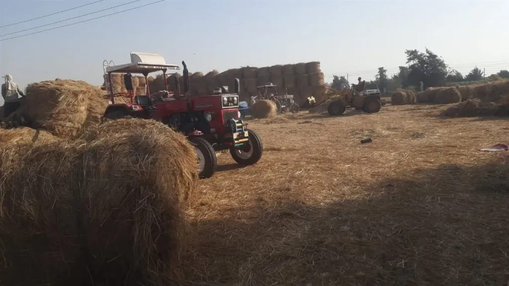 وزيرة البيئة تتلقى تقريرا حول جهود مواجهة نوبات تلوث الهواء الحادة