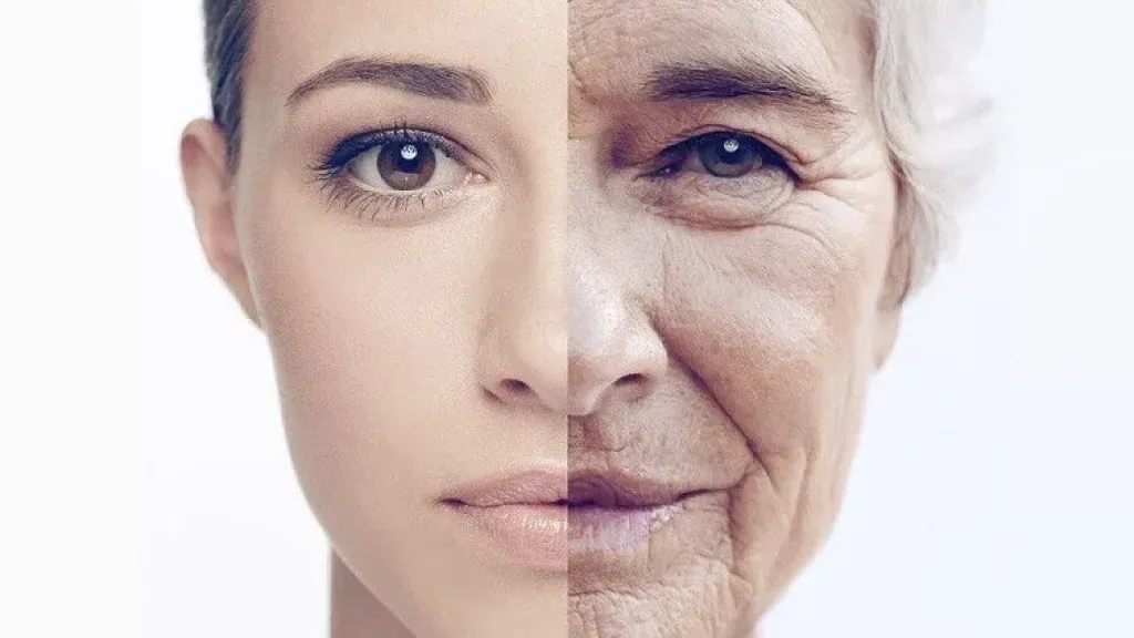 دراسة مقلقة.. أجسام الجيل الجديد تتقدم في العمر أسرع من المتوقع