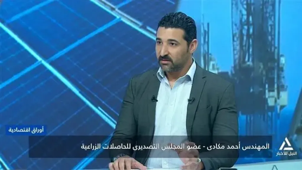 التربة البديلة.. فرصة جديدة لتعزيز الصادرات الزراعية وتحويل مصر إلى مركز إقليمي