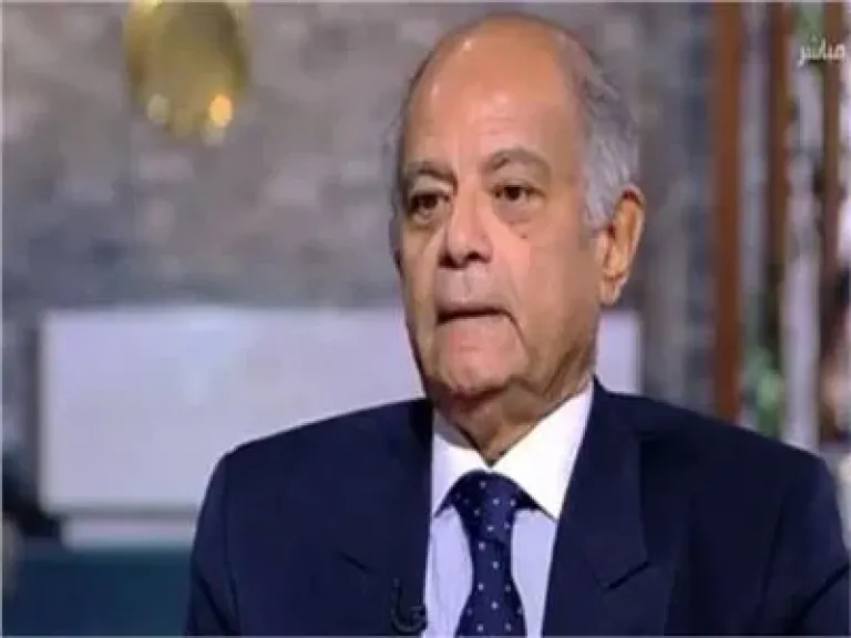 السفير حسين هريدي: مصر تتحرك دائمًا من أجل التسوية السلمية والدبلوماسية للقضية الفلسطينية