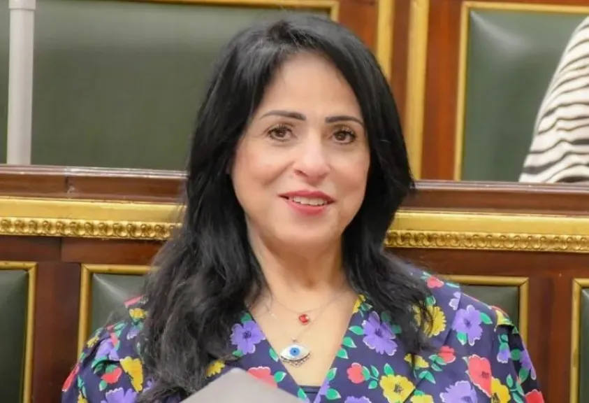 النائبة ميرال الهريدي: الدولة تعمل على بناء منظومة متكاملة لمواجهة الفكر المتطرف وتطوير الخطاب التوعوي