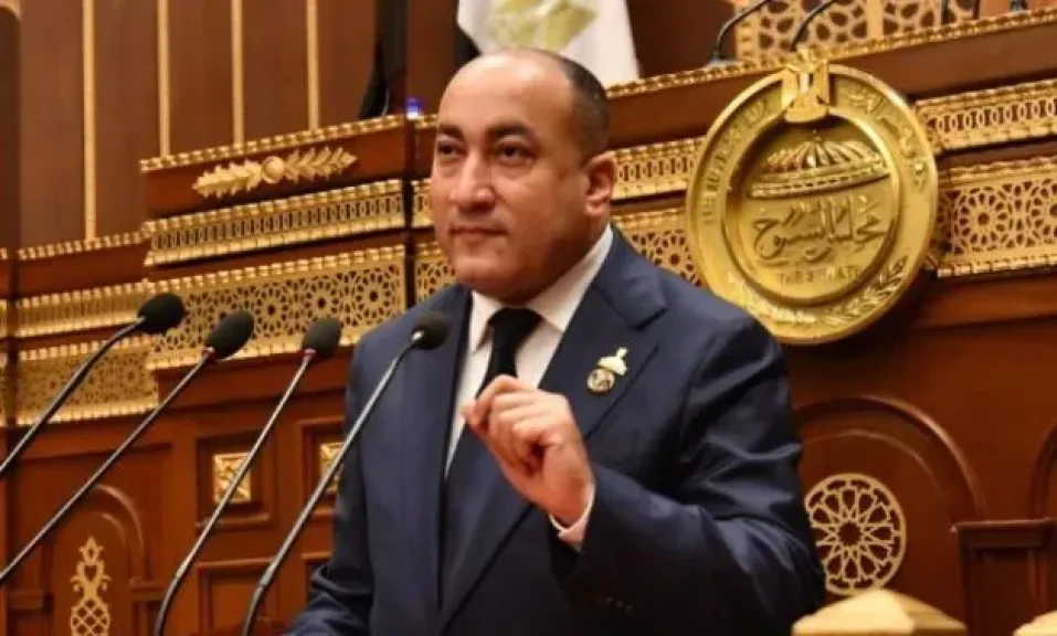 النائب عمرو رشاد: مصر والسعودية ركيزتان لاستقرار المنطقة.. وأمن المملكة جزء أصيل من الأمن القومي المصري