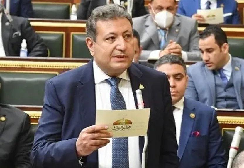 النائب طارق شكري: المسودة الأولى لمشروع قانون تنظيم السوق العقارية تستهدف تحقيق التوازن بين الأطراف