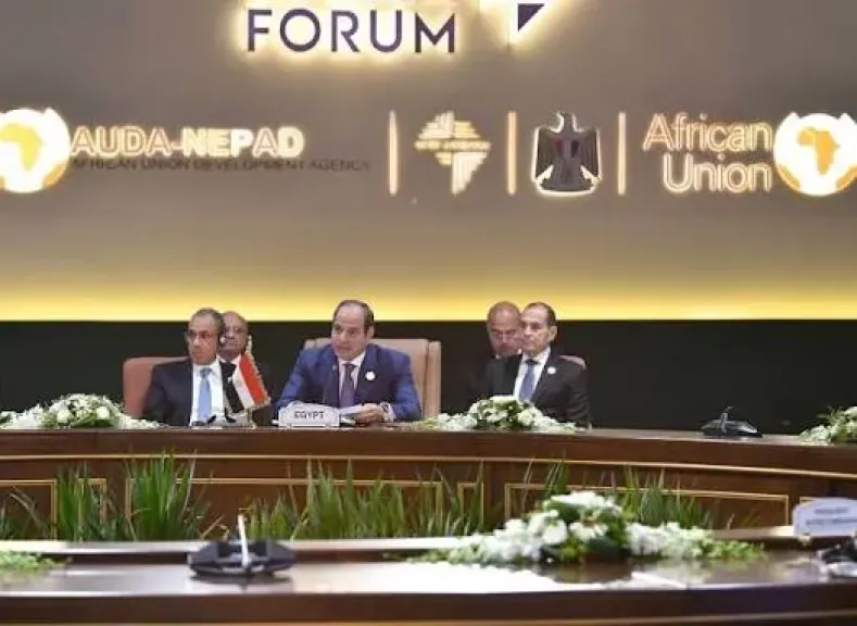 أستاذ علوم سياسية: مصر تدرك حجم المخاطر التي تواجه إفريقيا وتسعى للتنسيق بين دول القارة السمراء