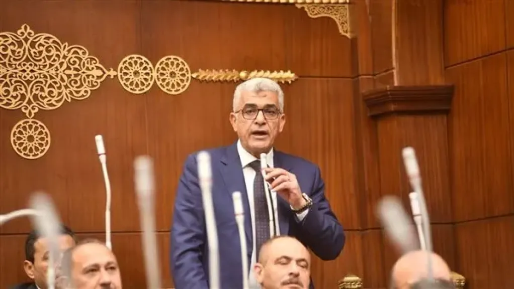 برلماني: إعلان العلمين فضح زيف الادعاءات الإثيوبية بشأن النيل