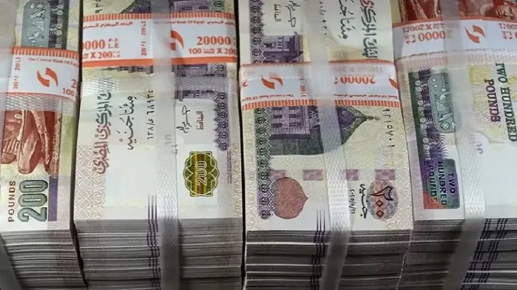 5 بنوك تستحوذ على 65% من رأس مال صندوق إعادة هيكلة المصانع المتعثرة